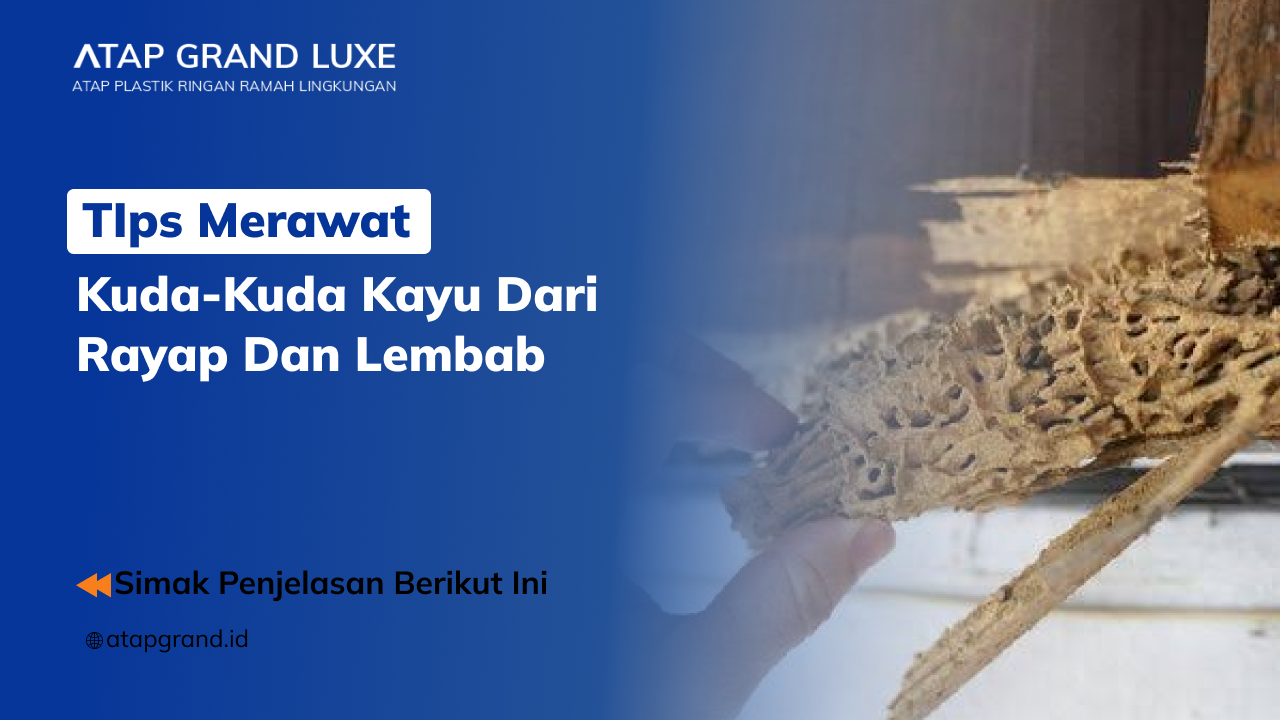 01 Tips Merawat Kuda-Kuda Kayu dari Rayap dan Lembab