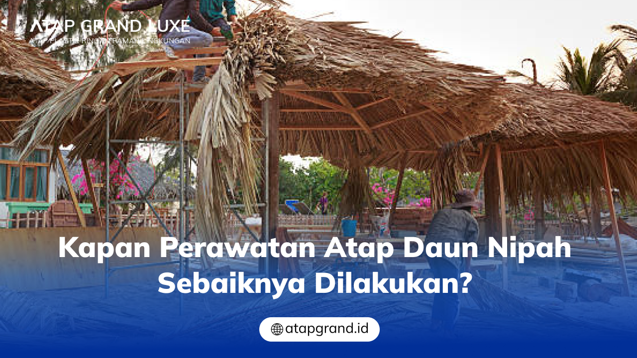 Kapan Perawatan Atap Daun Nipah Sebaiknya Dilakukan?