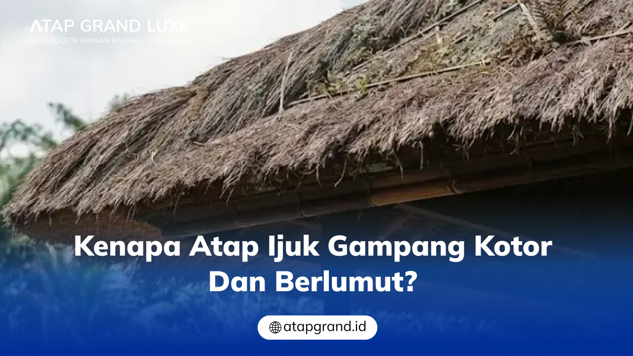 02 Kenapa Atap Ijuk Gampang Kotor dan Berlumut_