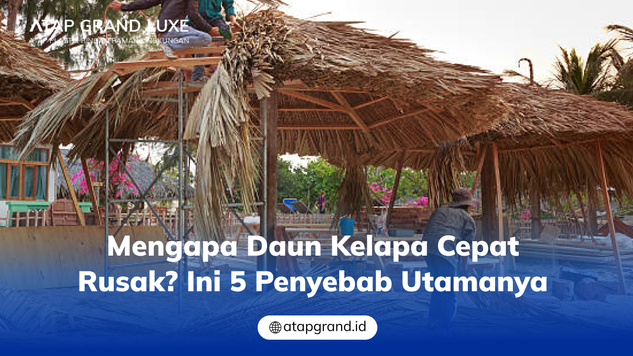 02 Mengapa Daun Kelapa Cepat Rusak_ Ini 5 Penyebab Utamanya