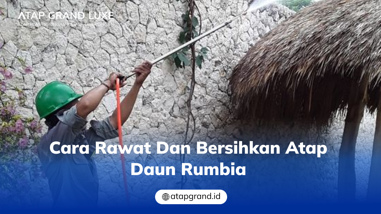 03 Cara Rawat dan Bersihkan Atap Daun Rumbia