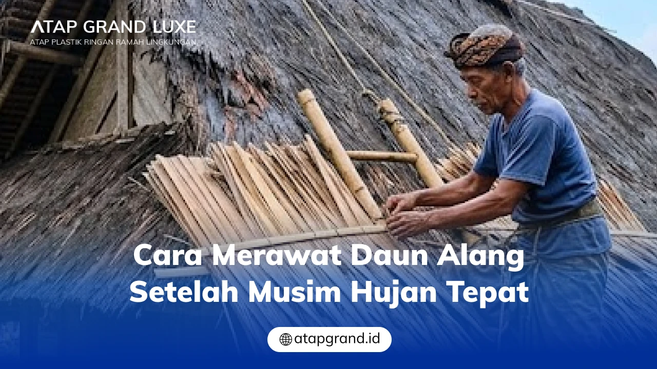 Cara Merawat Daun Alang Setelah Musim Hujan Tepat
