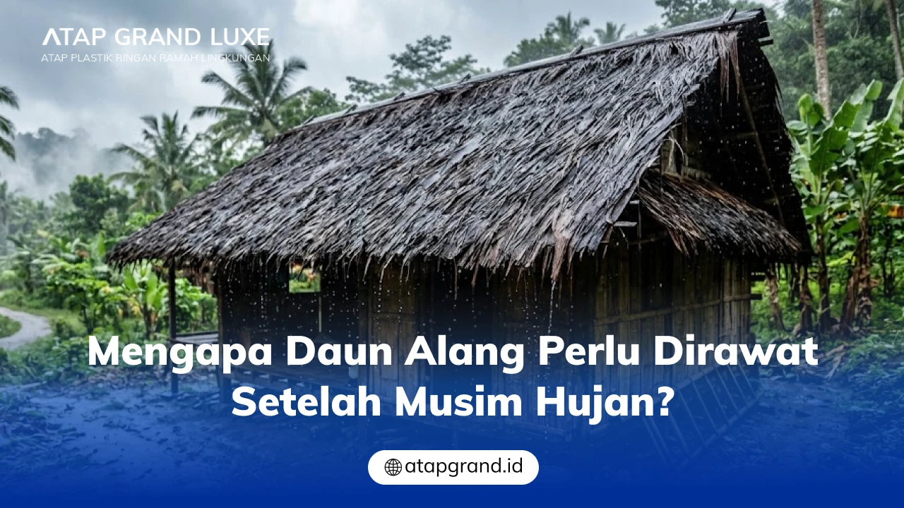 Mengapa Daun Alang Perlu Dirawat Setelah Musim Hujan