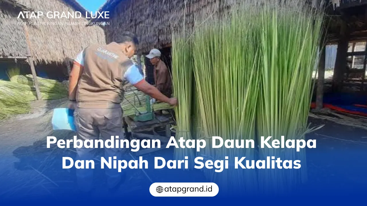 perbandingan_atap_daun_kelapa_dan_nipah_dari_segi_kualitas_1x
